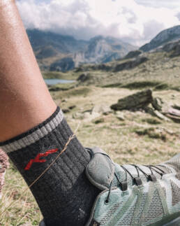 Merinwollen sokken heren wandelsokken Darn Tough Hiker Micro Crew Cushion